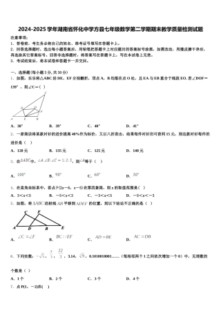 2024-2025学年湖南省怀化中学方县七年级数学第二学期期末教学质量检测试题含解析