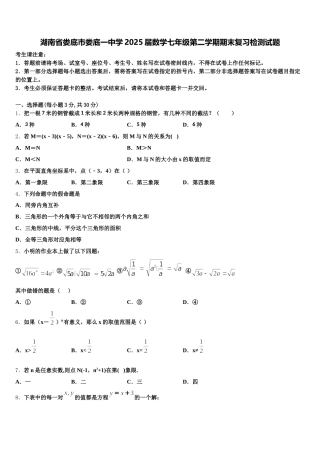 湖南省娄底市娄底一中学2025届数学七年级第二学期期末复习检测试题含解析
