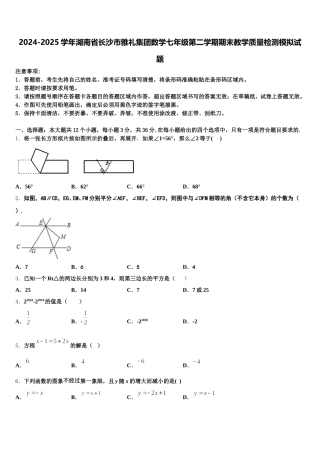 2024-2025学年湖南省长沙市雅礼集团数学七年级第二学期期末教学质量检测模拟试题含解析