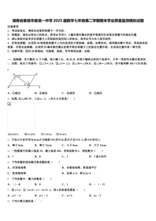 湖南省娄底市娄底一中学2025届数学七年级第二学期期末学业质量监测模拟试题含解析