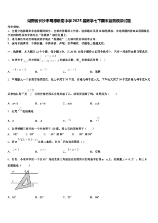 湖南省长沙市明德启南中学2025届数学七下期末监测模拟试题含解析