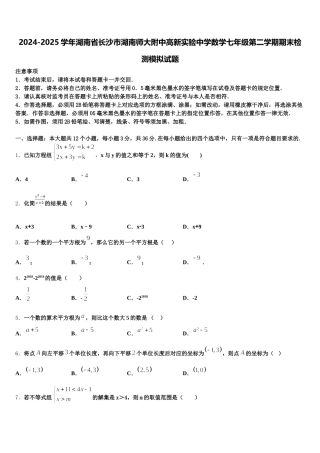 2024-2025学年湖南省长沙市湖南师大附中高新实验中学数学七年级第二学期期末检测模拟试题含解析