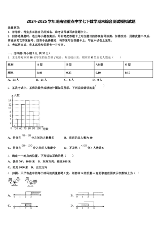 2024-2025学年湖南省重点中学七下数学期末综合测试模拟试题含解析
