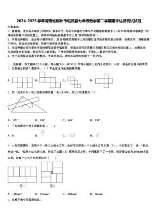 2024-2025学年湖南省郴州市临武县七年级数学第二学期期末达标测试试题含解析