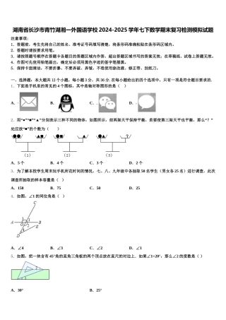湖南省长沙市青竹湖湘一外国语学校2024-2025学年七下数学期末复习检测模拟试题含解析