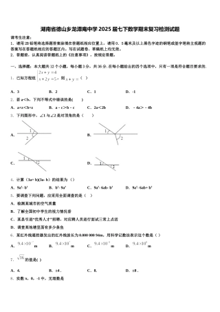 湖南省德山乡龙潭庵中学2025届七下数学期末复习检测试题含解析