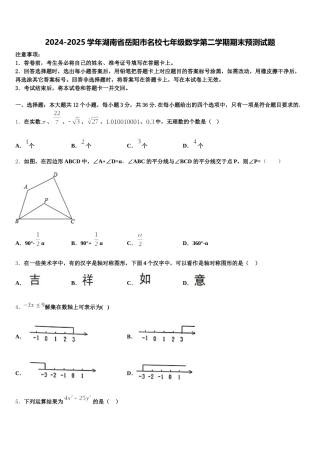 2024-2025学年湖南省岳阳市名校七年级数学第二学期期末预测试题含解析