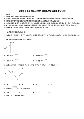 湖南师大附中2024-2025学年七下数学期末考试试题含解析