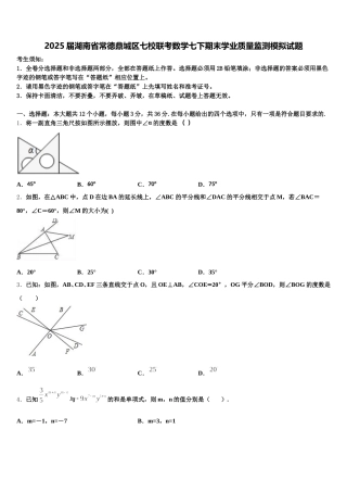 2025届湖南省常德鼎城区七校联考数学七下期末学业质量监测模拟试题含解析