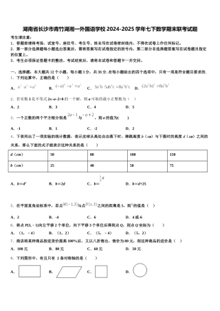 湖南省长沙市青竹湖湘一外国语学校2024-2025学年七下数学期末联考试题含解析