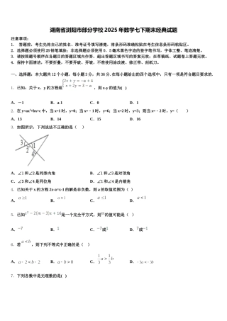 湖南省浏阳市部分学校2025年数学七下期末经典试题含解析