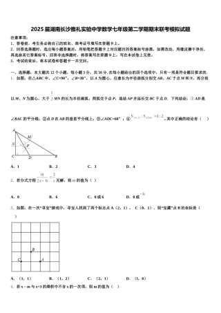 2025届湖南长沙雅礼实验中学数学七年级第二学期期末联考模拟试题含解析