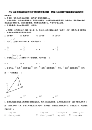 2025年湖南省长沙市师大附中教育集团第十数学七年级第二学期期末监测试题含解析