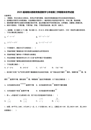 2025届湖南长郡教育集团数学七年级第二学期期末统考试题含解析