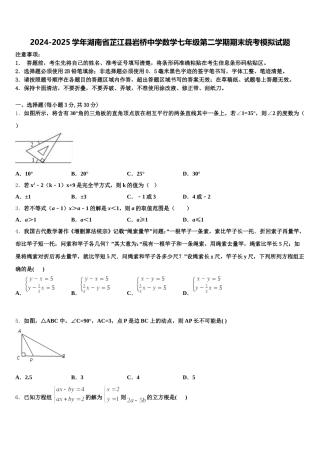 2024-2025学年湖南省芷江县岩桥中学数学七年级第二学期期末统考模拟试题含解析