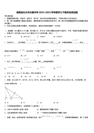 湖南省长沙市长雅中学2024-2025学年数学七下期末检测试题含解析