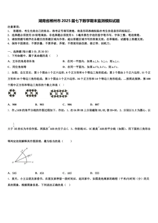 湖南省郴州市2025届七下数学期末监测模拟试题含解析