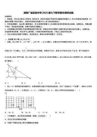 湖南广益实验中学2025届七下数学期末调研试题含解析