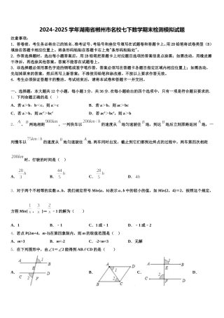 2024-2025学年湖南省郴州市名校七下数学期末检测模拟试题含解析