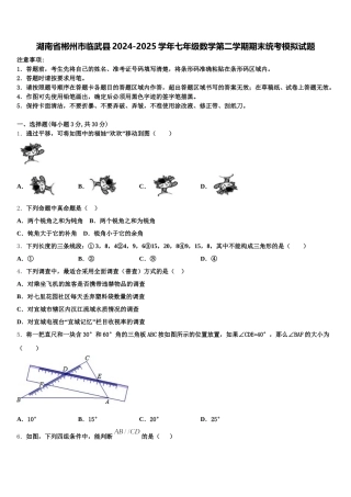 湖南省郴州市临武县2024-2025学年七年级数学第二学期期末统考模拟试题含解析