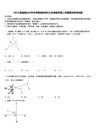 2025届湖南长沙市中学雅培粹学校七年级数学第二学期期末联考试题含解析