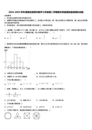 2024-2025学年湖南省湘潭市数学七年级第二学期期末质量跟踪监视模拟试题含解析