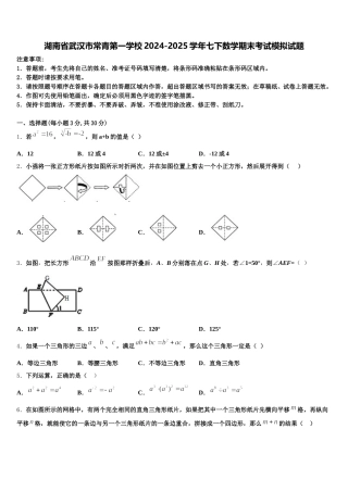 湖南省武汉市常青第一学校2024-2025学年七下数学期末考试模拟试题含解析