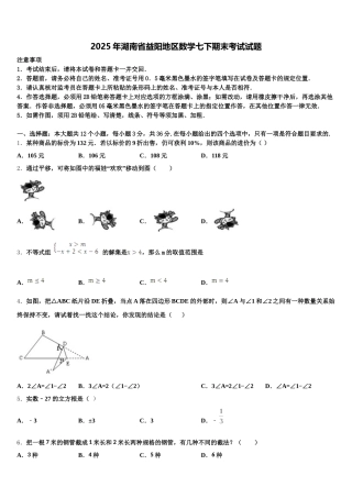 2025年湖南省益阳地区数学七下期末考试试题含解析