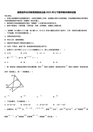 湖南省怀化市新晃侗族自治县2025年七下数学期末调研试题含解析