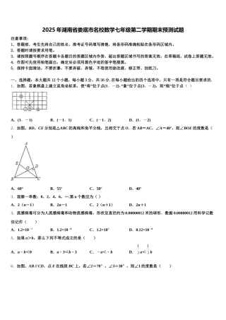 2025年湖南省娄底市名校数学七年级第二学期期末预测试题含解析