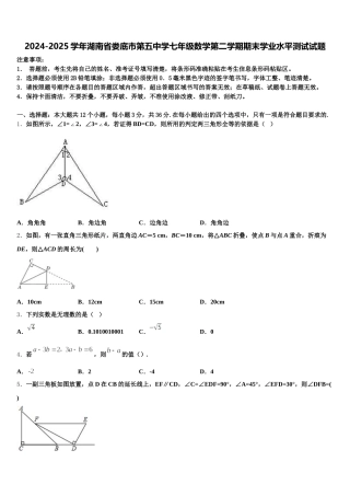 2024-2025学年湖南省娄底市第五中学七年级数学第二学期期末学业水平测试试题含解析