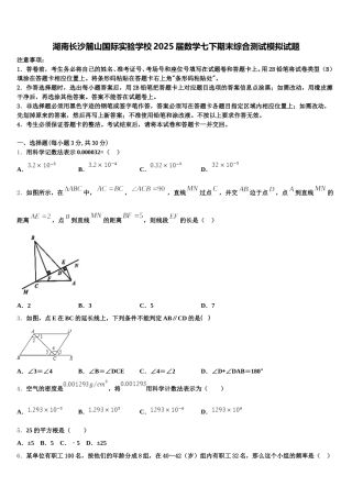 湖南长沙麓山国际实验学校2025届数学七下期末综合测试模拟试题含解析