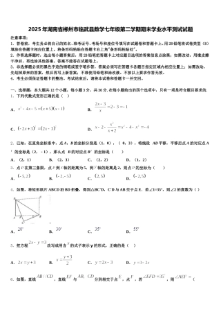 2025年湖南省郴州市临武县数学七年级第二学期期末学业水平测试试题含解析