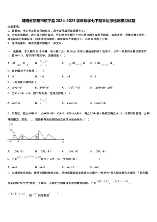 湖南省邵阳市绥宁县2024-2025学年数学七下期末达标检测模拟试题含解析