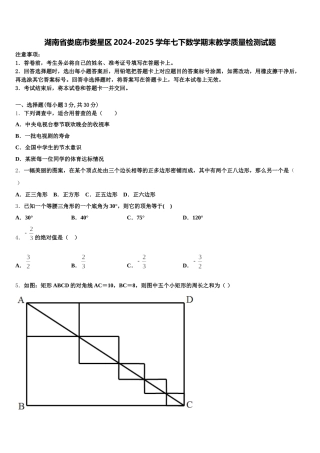 湖南省娄底市娄星区2024-2025学年七下数学期末教学质量检测试题含解析