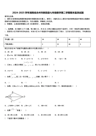 2024-2025学年湖南省永州市新田县七年级数学第二学期期末监测试题含解析