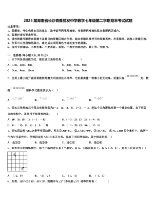 2025届湖南省长沙青雅丽发中学数学七年级第二学期期末考试试题含解析