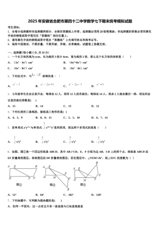 2025年安徽省合肥市第四十二中学数学七下期末统考模拟试题含解析