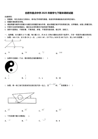 合肥市重点中学2025年数学七下期末调研试题含解析