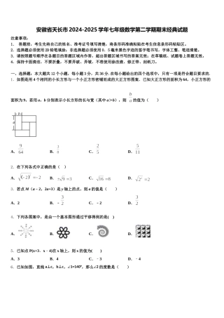 安徽省天长市2024-2025学年七年级数学第二学期期末经典试题含解析