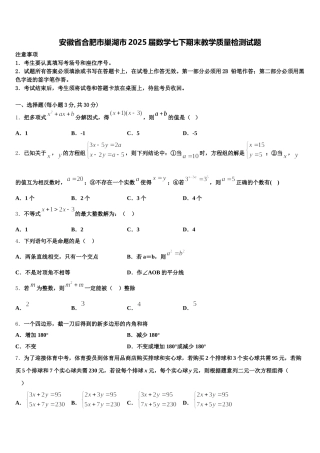 安徽省合肥市巢湖市2025届数学七下期末教学质量检测试题含解析
