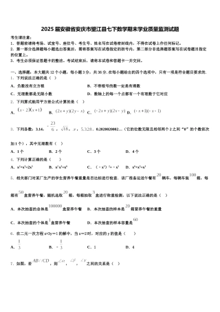 2025届安徽省安庆市望江县七下数学期末学业质量监测试题含解析