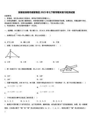 安徽省淮南市谢家集区2025年七下数学期末复习检测试题含解析