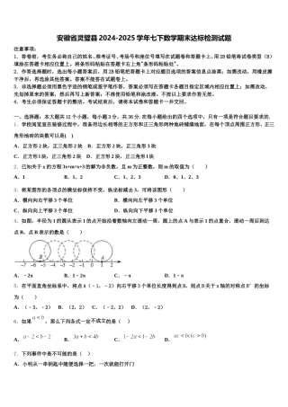 安徽省灵璧县2024-2025学年七下数学期末达标检测试题含解析
