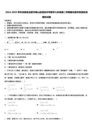 2024-2025学年安徽省合肥市蜀山区琥珀中学数学七年级第二学期期末教学质量检测模拟试题含解析