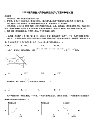 2025届安徽省六安市金寨县数学七下期末联考试题含解析