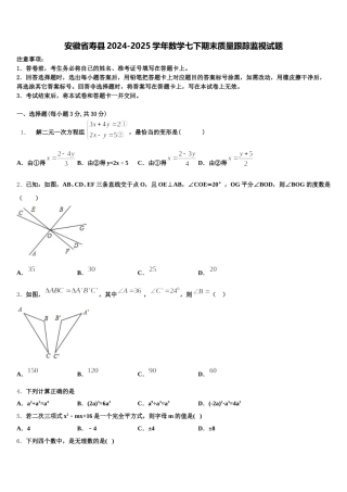 安徽省寿县2024-2025学年数学七下期末质量跟踪监视试题含解析