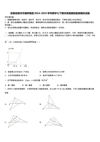 安徽省宿州市埇桥集团2024-2025学年数学七下期末质量跟踪监视模拟试题含解析
