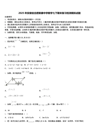 2025年安徽省合肥新康中学数学七下期末复习检测模拟试题含解析