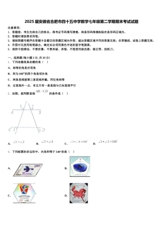 2025届安徽省合肥市四十五中学数学七年级第二学期期末考试试题含解析